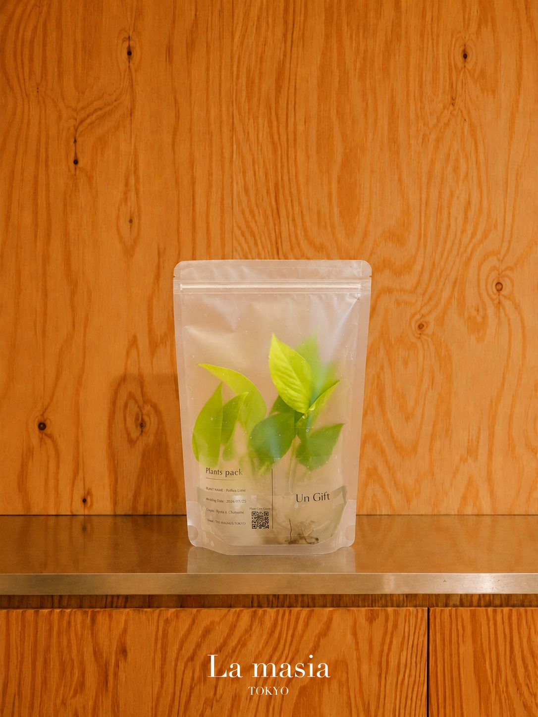 Lamasia Plants Pack — Pothos Lime(ライムポトス)