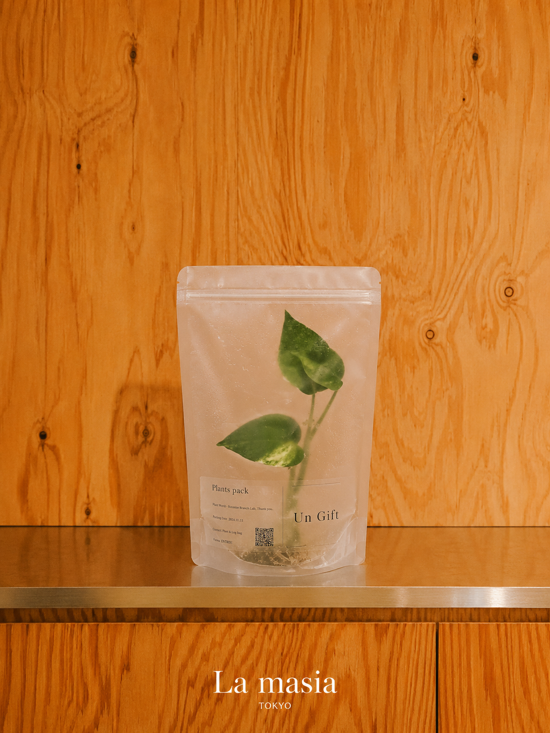 ポトス(Pothos)