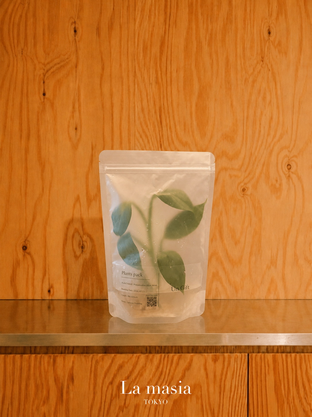 Lamasia Plants Pack — Philodendron Silver Metal（フィロデンドロン・シルバーメタル）