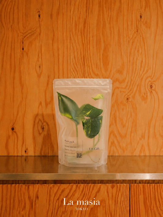 Lamasia Plants Pack — Golden Pothos（ゴールデンポトス）